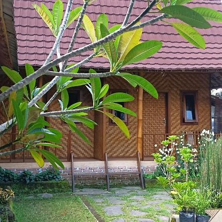 Mysha Guest House-Lombok Tetebatu Dış mekan fotoğraf