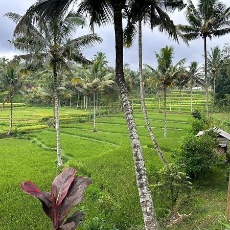 Mysha Guest House-Lombok Tetebatu Dış mekan fotoğraf
