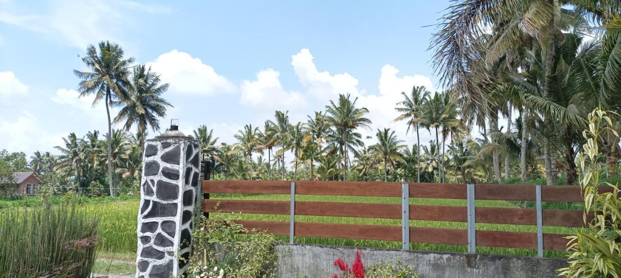 Mysha Guest House-Lombok Tetebatu Dış mekan fotoğraf