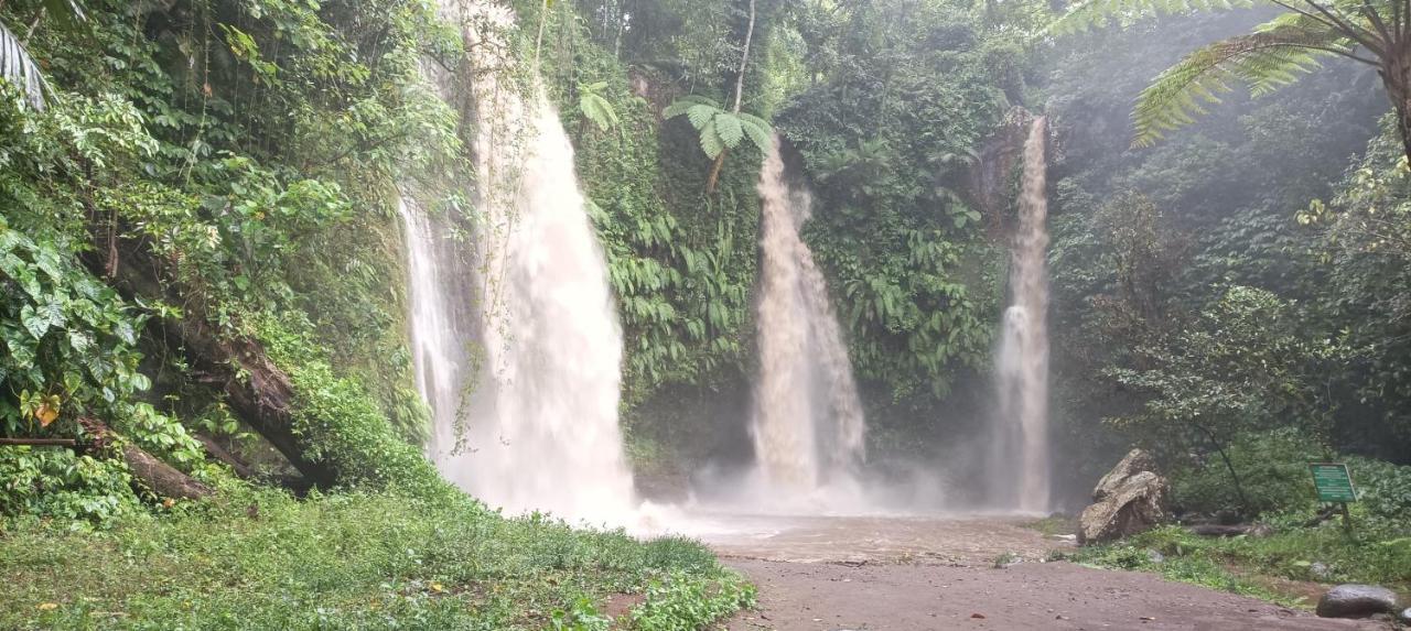Mysha Guest House-Lombok Tetebatu Dış mekan fotoğraf