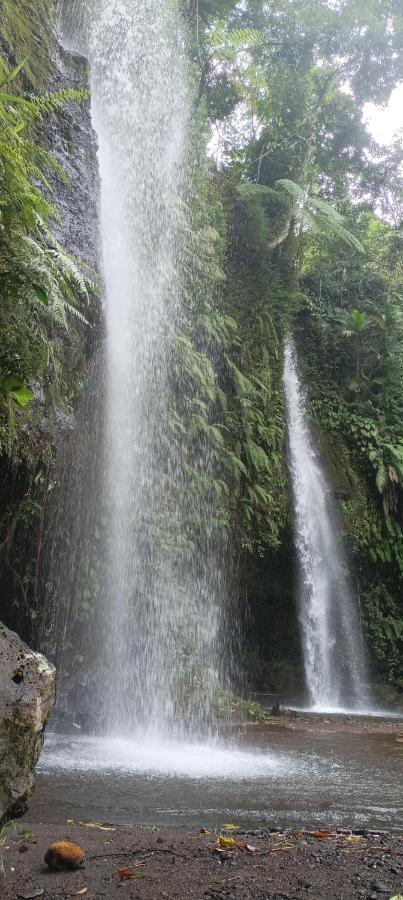 Mysha Guest House-Lombok Tetebatu Dış mekan fotoğraf