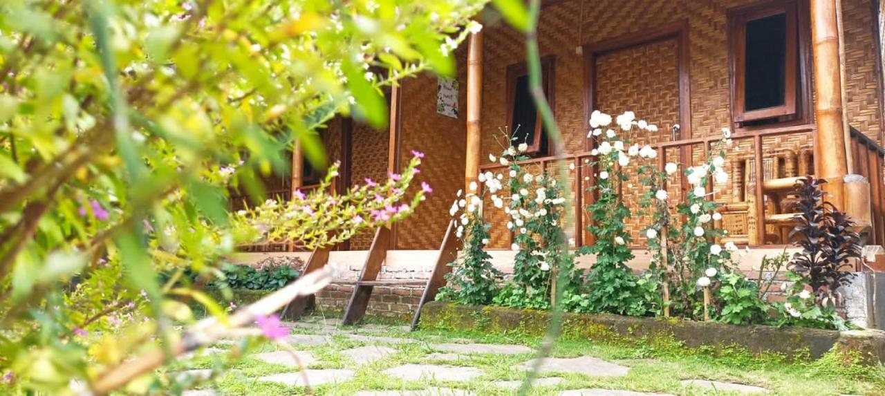 Mysha Guest House-Lombok Tetebatu Dış mekan fotoğraf