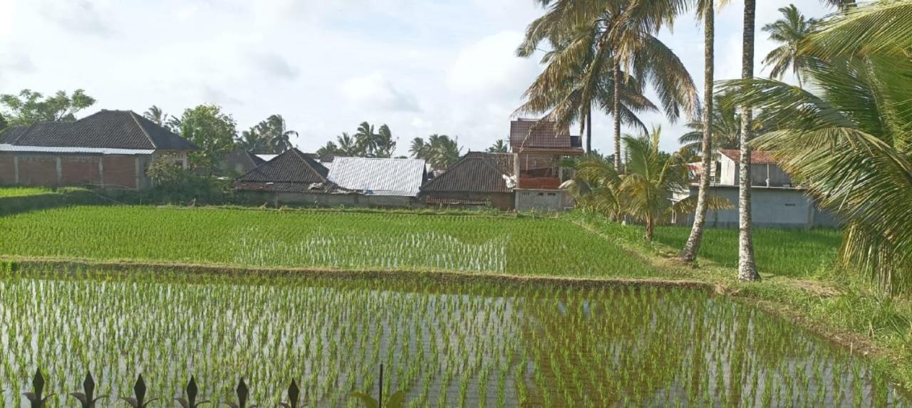 Mysha Guest House-Lombok Tetebatu Dış mekan fotoğraf