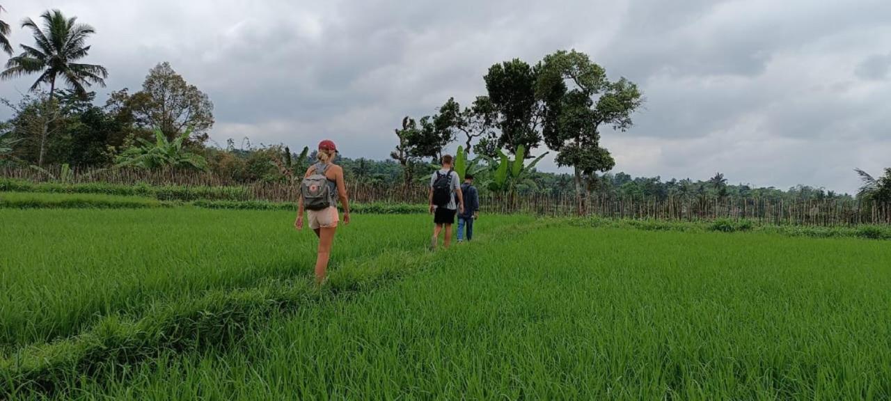 Mysha Guest House-Lombok Tetebatu Dış mekan fotoğraf