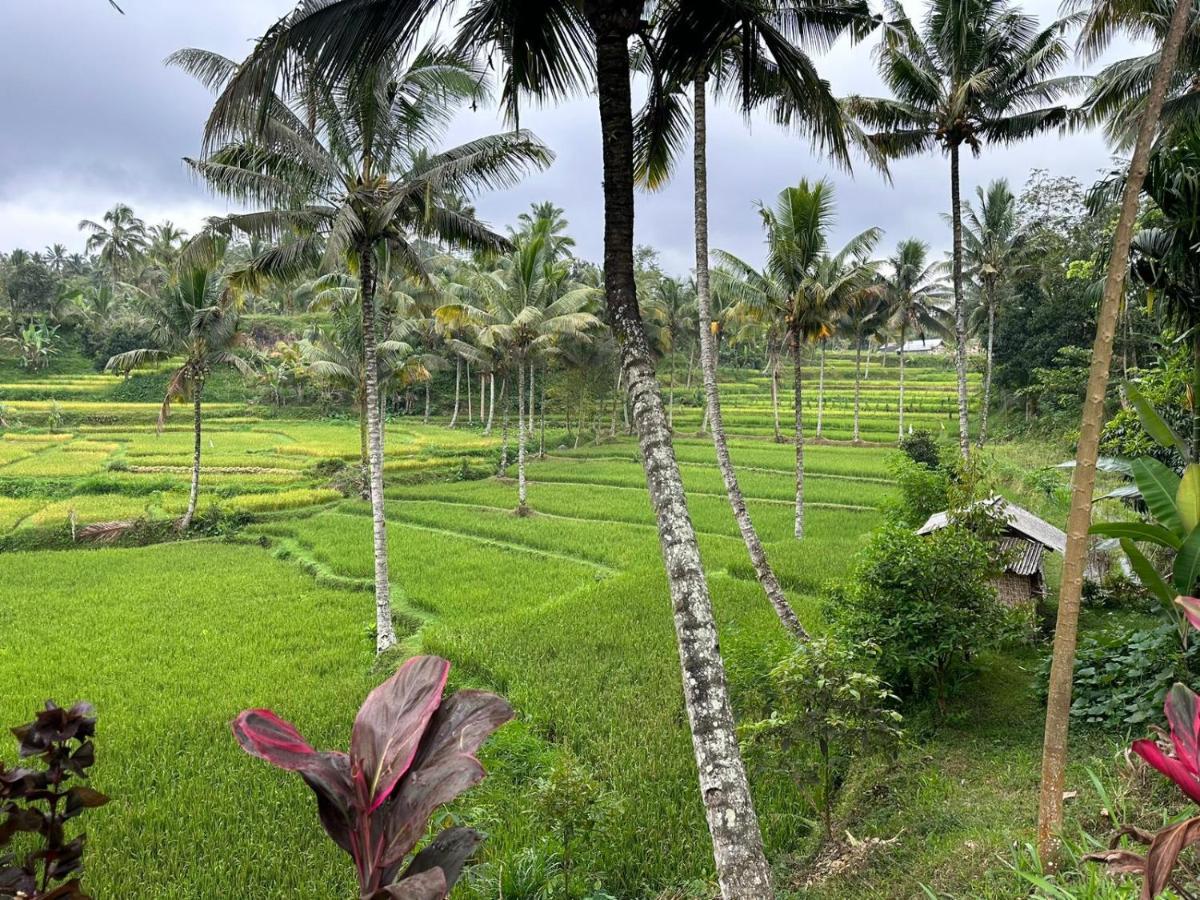 Mysha Guest House-Lombok Tetebatu Dış mekan fotoğraf