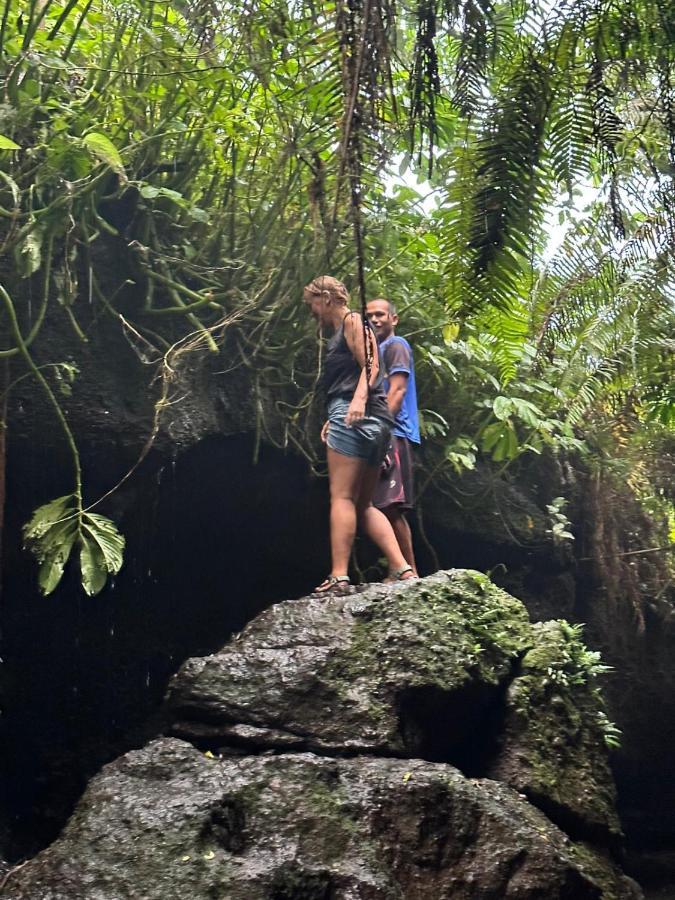 Mysha Guest House-Lombok Tetebatu Dış mekan fotoğraf