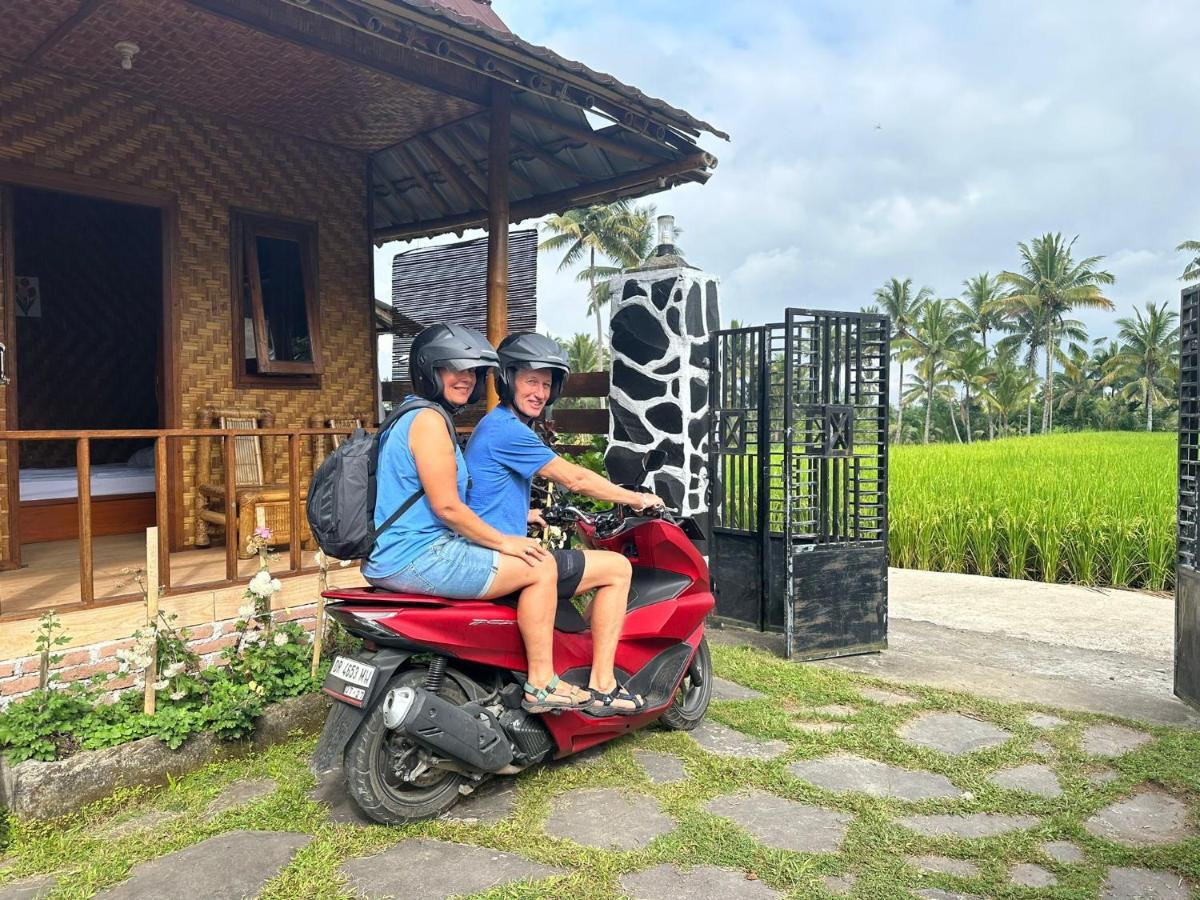 Mysha Guest House-Lombok Tetebatu Dış mekan fotoğraf