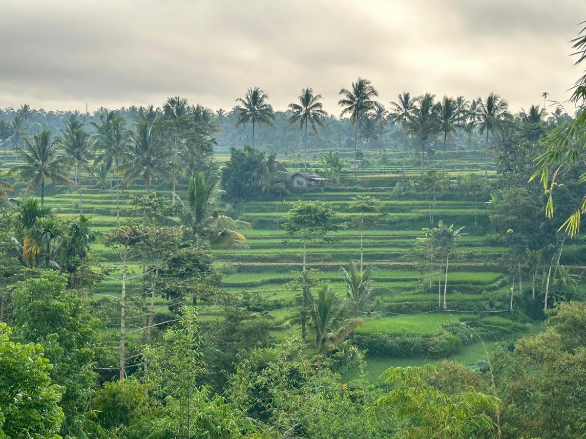 Mysha Guest House-Lombok Tetebatu Dış mekan fotoğraf